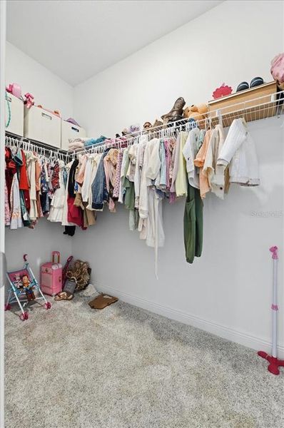 Close-up of interior finishes inside a home in Hills of Minneola, Minneola (Image 56).
