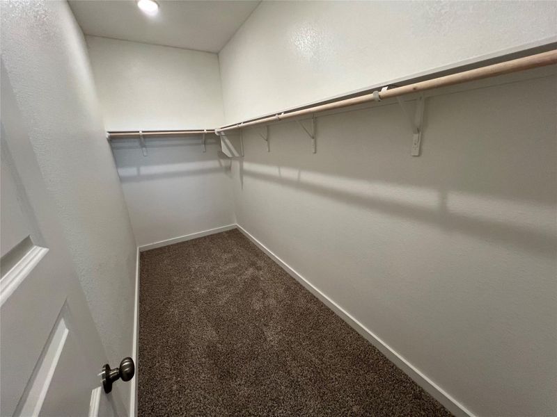 Spacious closet with dark carpet