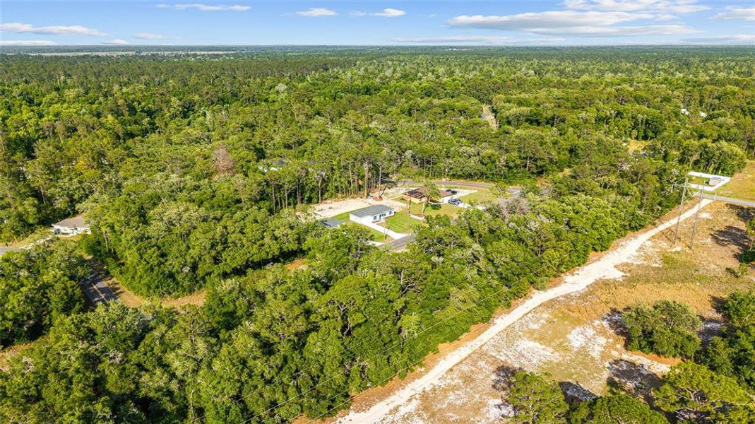 Natural landscape and outdoor views near  in Ocala (Image 33).