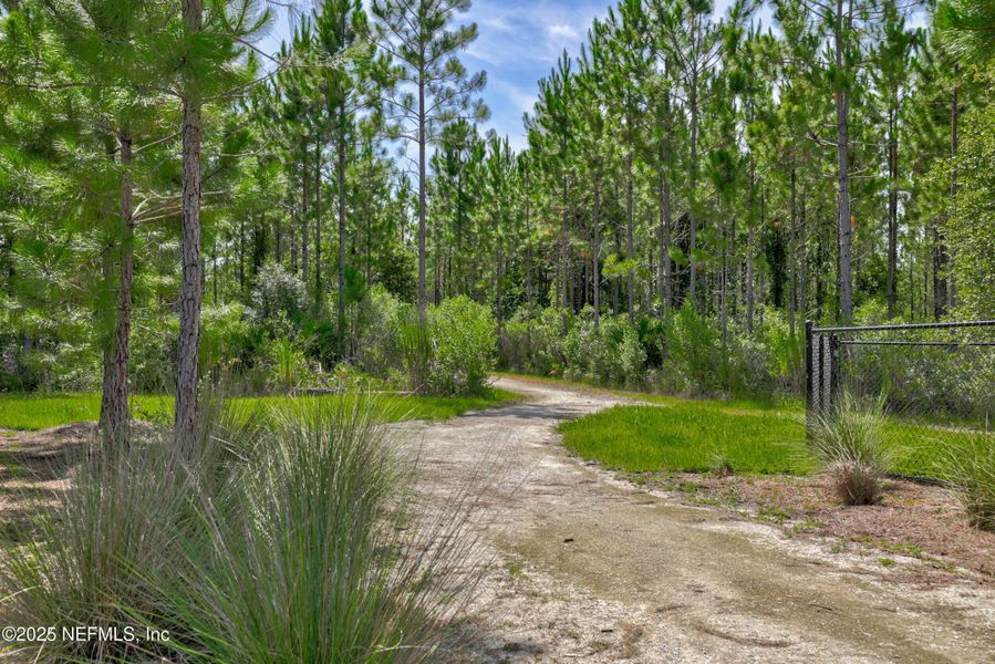Natural landscape and outdoor views near  in St. Augustine (Image 45).