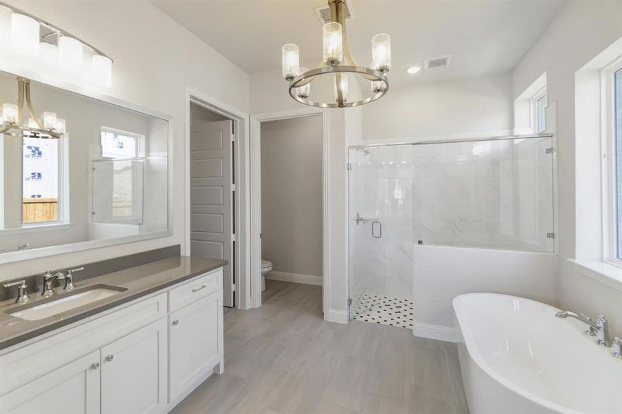 Full bathroom with vanity, a chandelier, independent shower and bath, and toilet