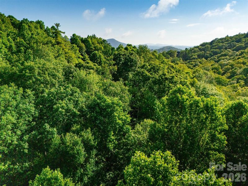 Natural landscape and outdoor views near  in Boone (Image 26).