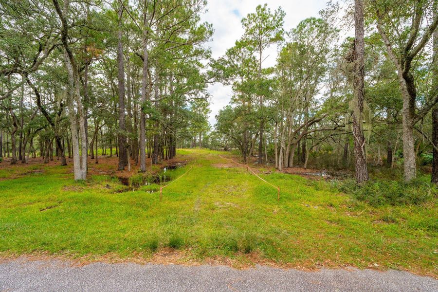 Natural landscape and outdoor views near  in Johns Island (Image 9).
