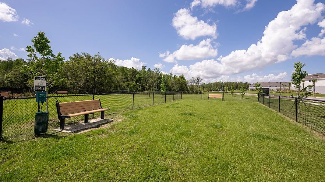 Community amenities in Firethorn, Parrish (Image 21).