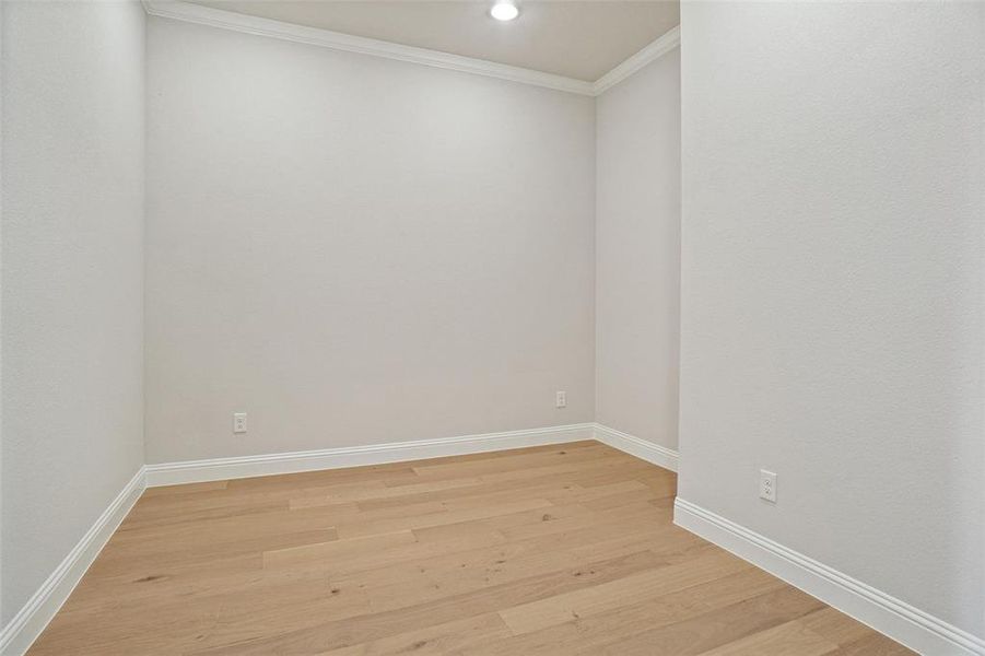 Spare room featuring light wood-type flooring and ornamental molding