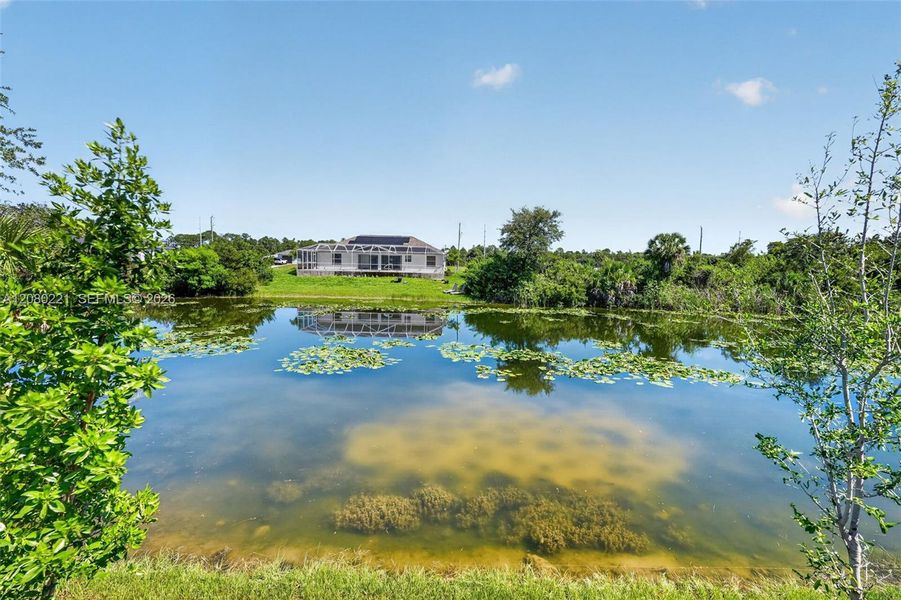 Natural landscape and outdoor views near  in Cape Coral (Image 73).