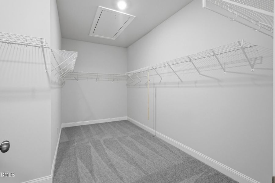 SUN_CarolinaSprings_Pic_329CalvanderLn_3