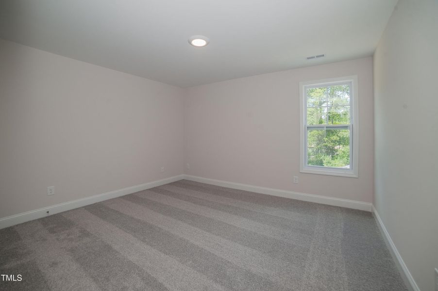 3966 Black Hills Road-29