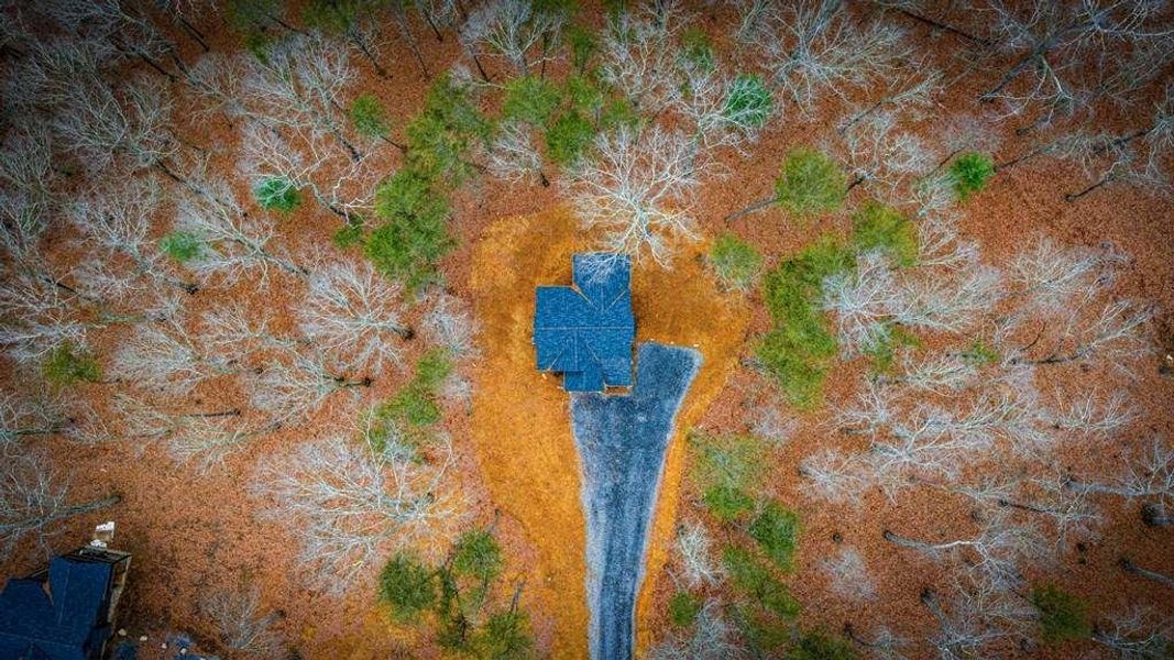 Site preparation for new homesites in , Blue Ridge (Image 40). Site preparation for new homesites in , Blue Ridge (Image 40).