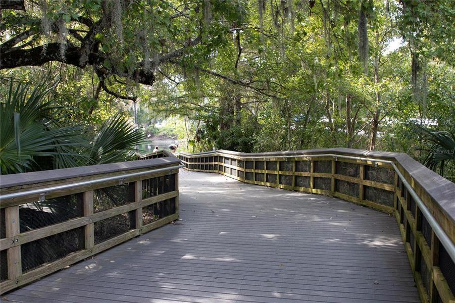 Natural landscape and outdoor views near  in Dunnellon (Image 38).