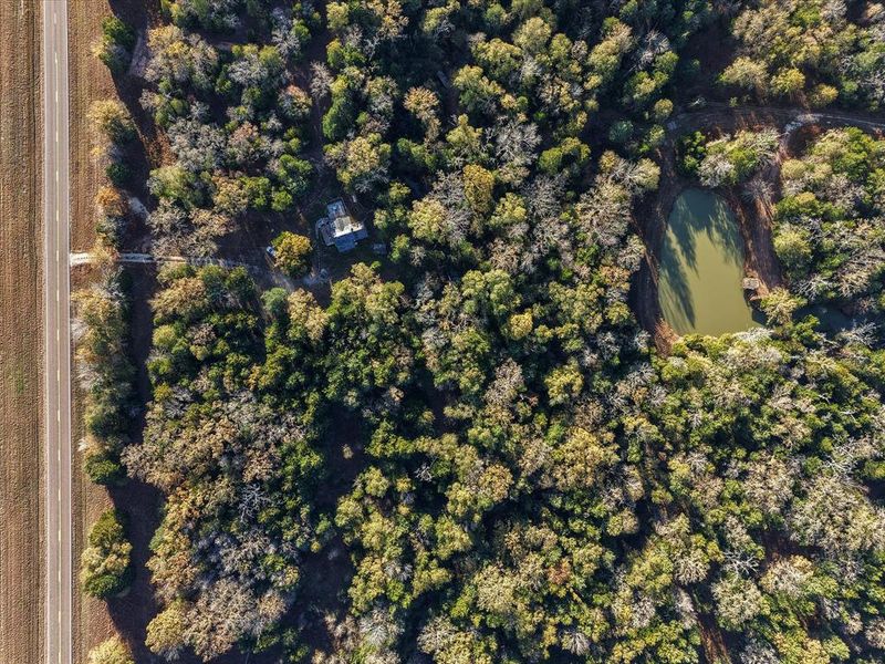Natural landscape and outdoor views near  in Teague (Image 16).