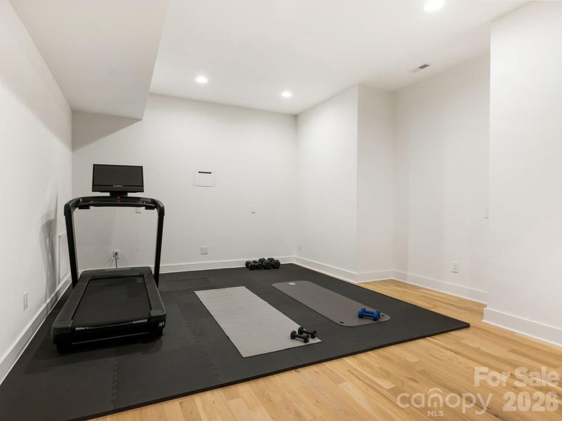 Lower Level Gym