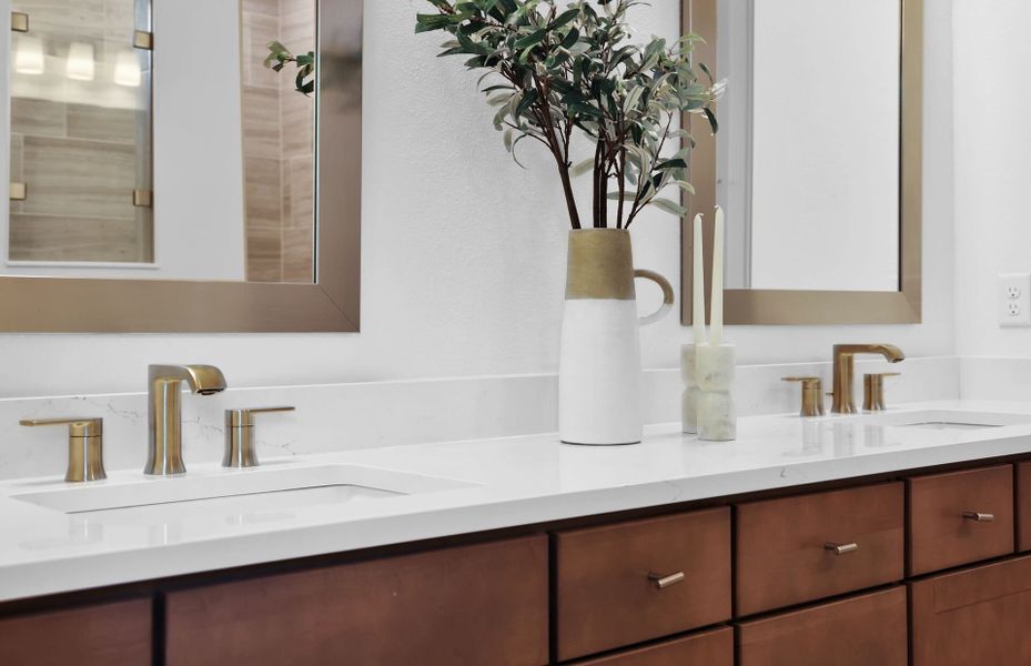 Mahogany | Owner's Bathroom