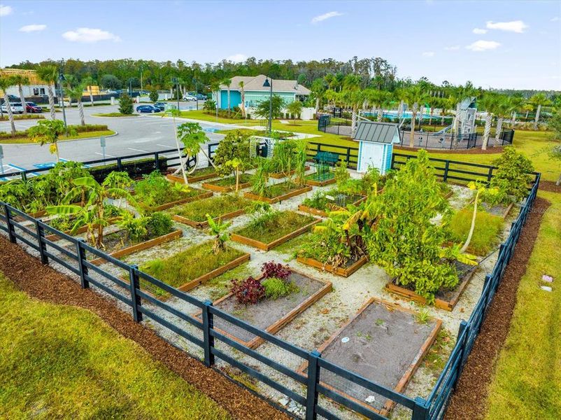 Community amenities in , Orlando (Image 52).