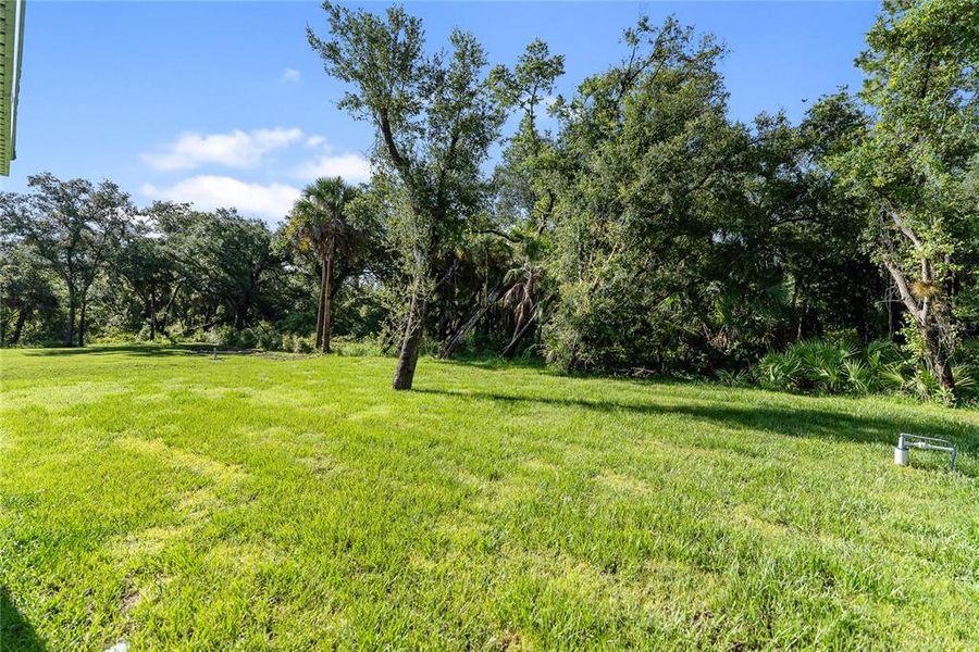 Natural landscape and outdoor views near in Port Charlotte (Image 68). Natural landscape and outdoor views near in Port Charlotte (Image 68).