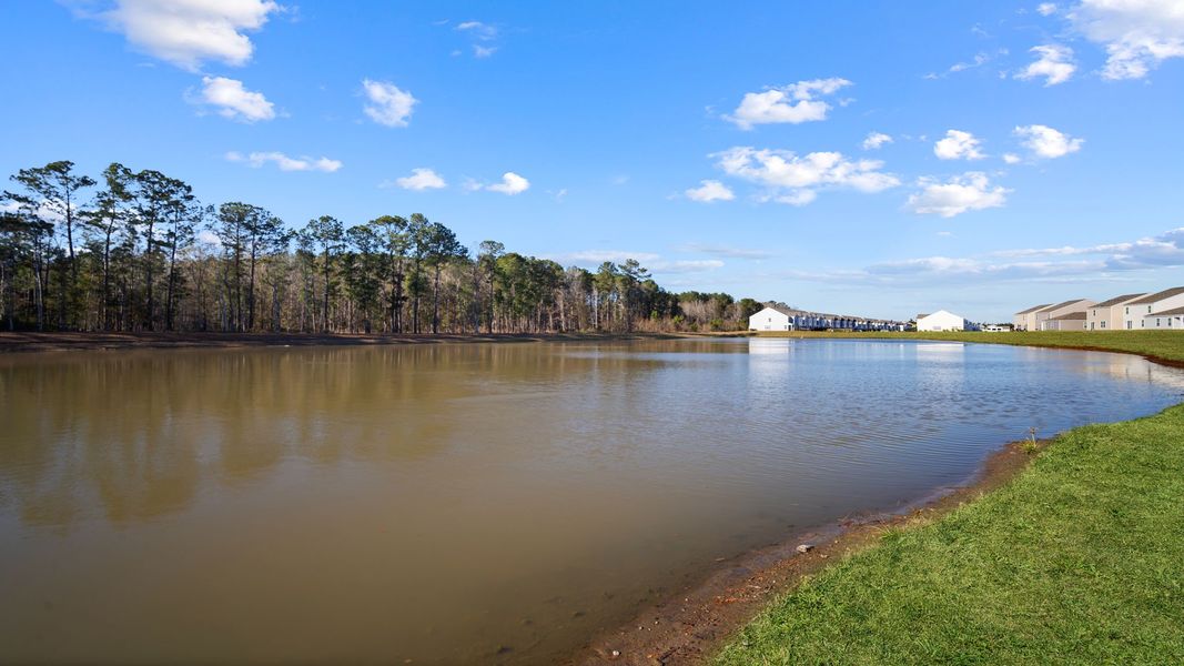 Natural landscape and outdoor views near Rice Hope in Port Wentworth (Image 36).