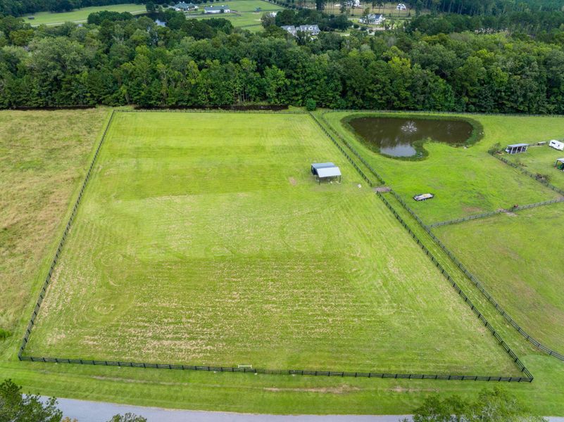 Natural landscape and outdoor views near  in Ravenel (Image 39).