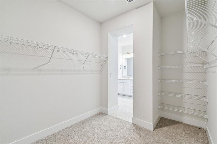 Spacious, unfurnished interior of a new home in Chapel Crossings - Garden Series, Wesley Chapel (Image 31).