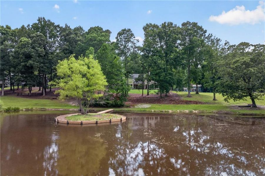 Natural landscape and outdoor views near  in Lawrenceville (Image 75).