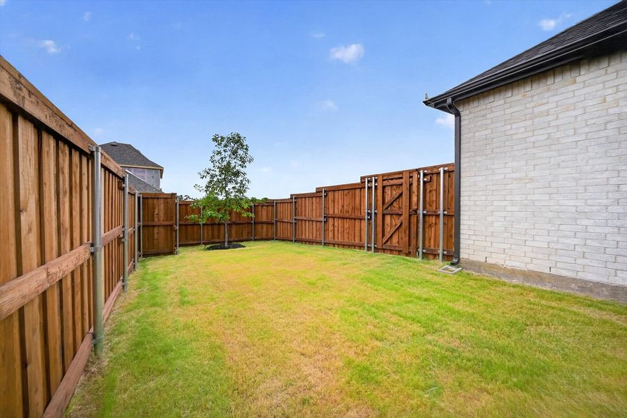 Backyard Backyard
