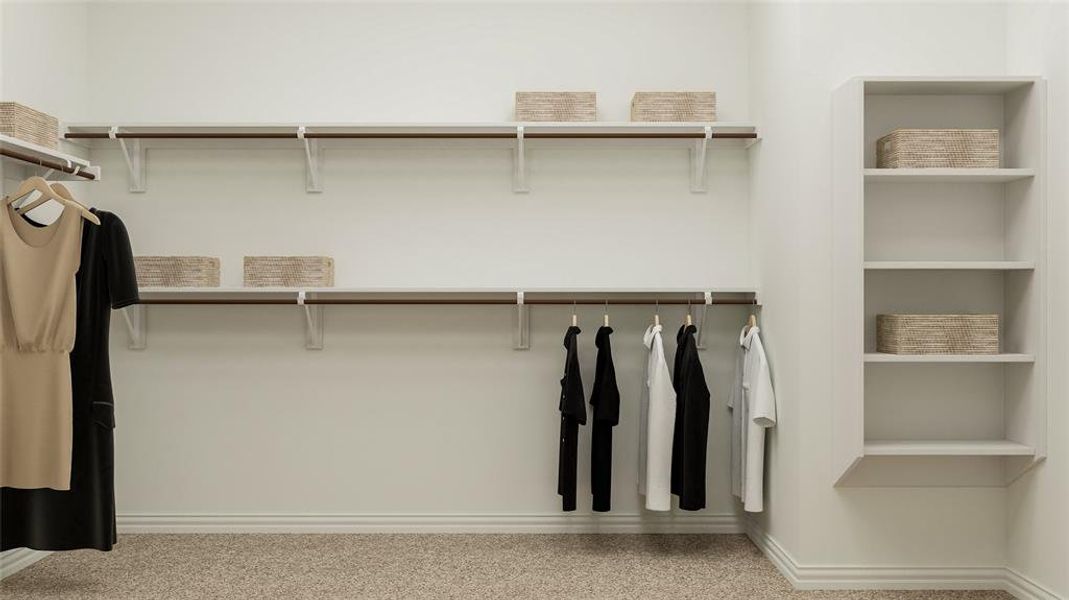 Spacious closet with light carpet