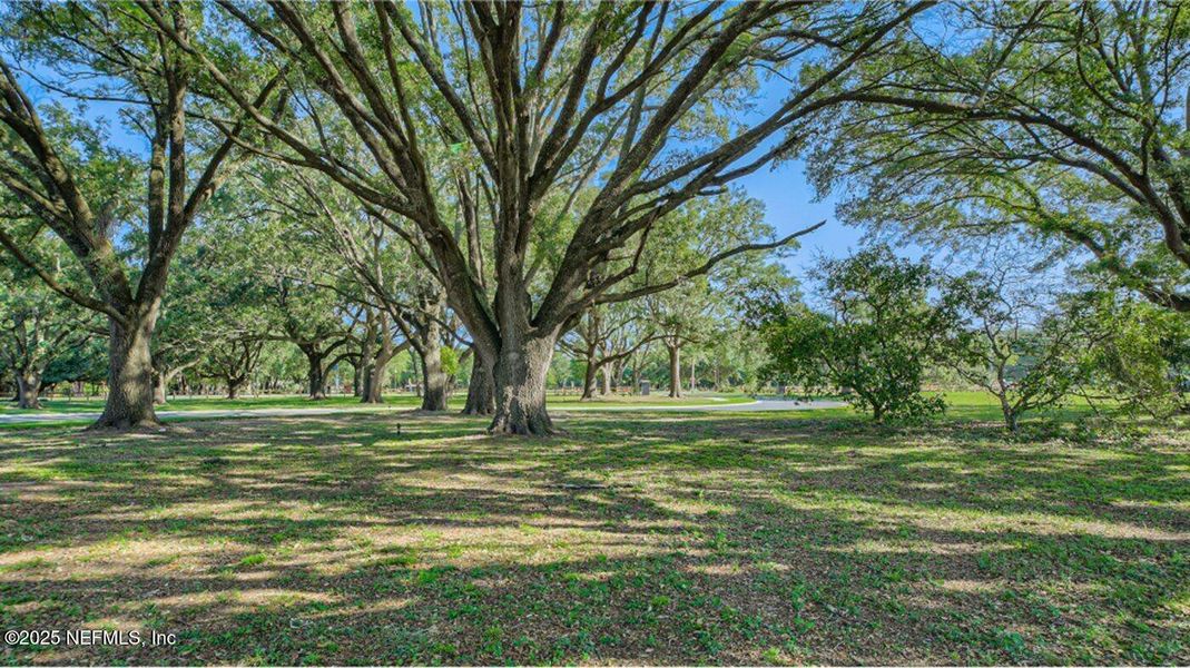 Natural landscape and outdoor views near Granary Park in Green Cove Springs (Image 33).