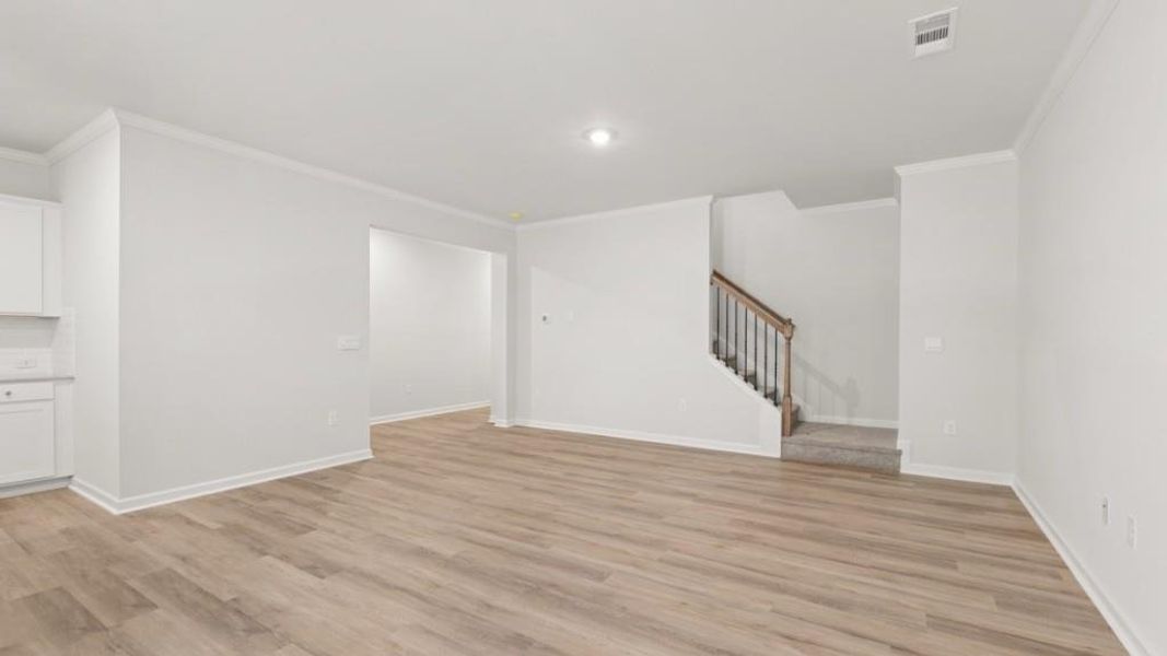 Spacious, unfurnished interior of a new home in Falcon Landing, Gainesville (Image 10). Spacious, unfurnished interior of a new home in Falcon Landing, Gainesville (Image 10).