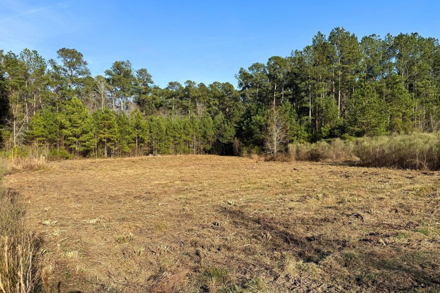 Natural landscape and outdoor views near  in Moncks Corner (Image 14).