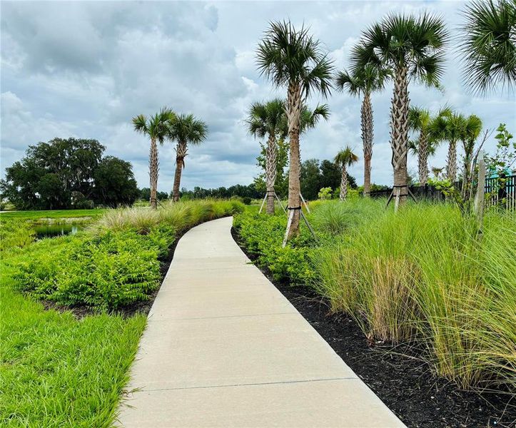 Natural landscape and outdoor views near Two Rivers in Zephyrhills (Image 27).