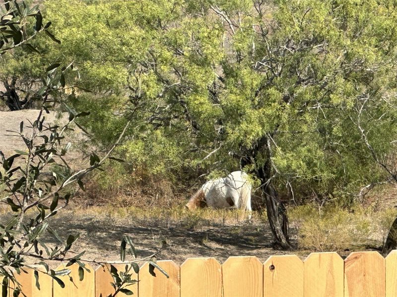 Image 30 of a home in Porter Country. Image 30 of a home in Porter Country.
