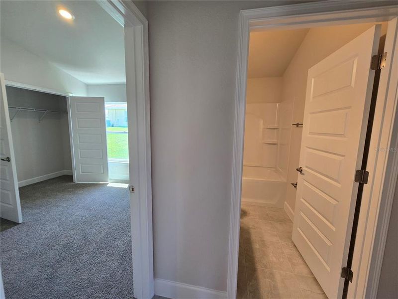 Spacious, unfurnished interior of a new home in Twisted Oaks, Beverly Hills (Image 31). Spacious, unfurnished interior of a new home in Twisted Oaks, Beverly Hills (Image 31).