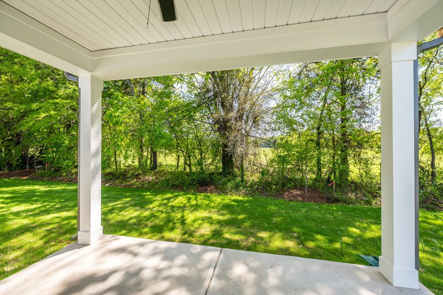 Representative exterior details of a home built from the The Ponder by David Weekley Homes in Hardy Pond, Rock Hill (Image 3).