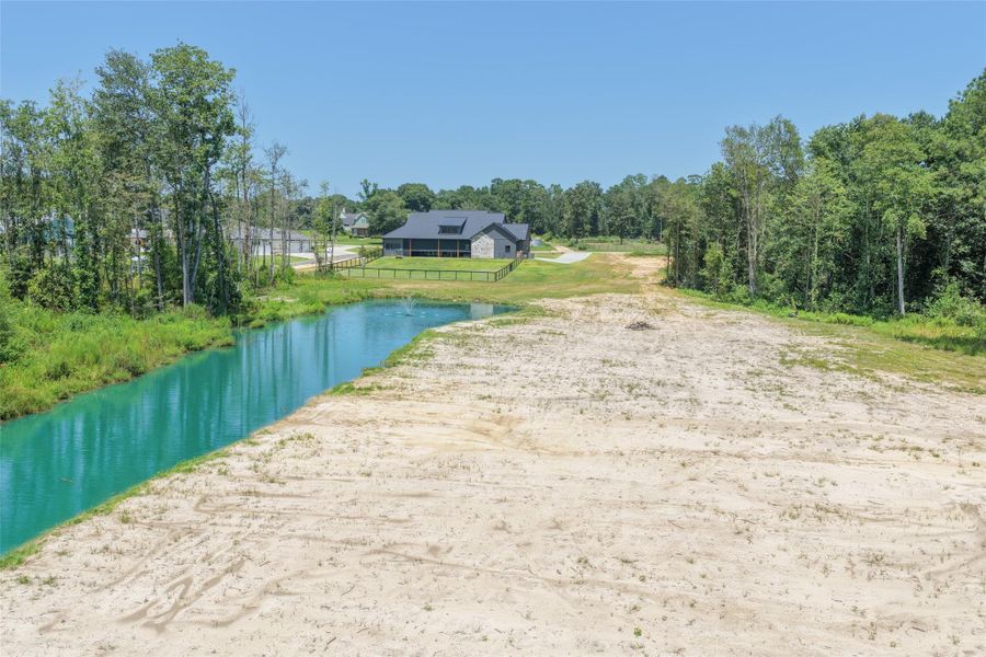Natural landscape and outdoor views near  in Willis (Image 43).