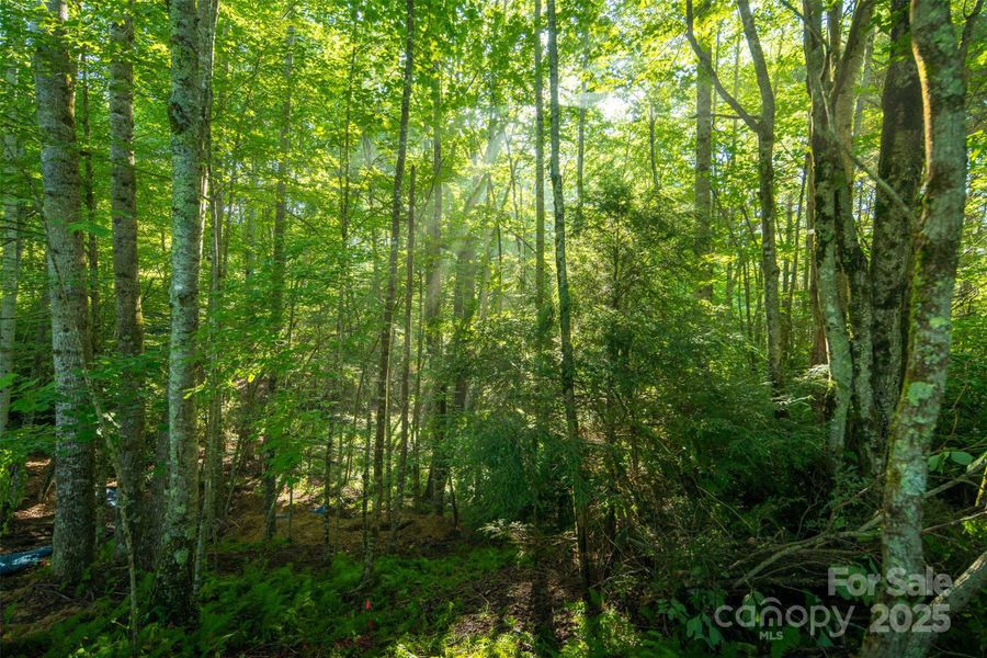 Image 19 of a home in . Image 19 of a home in .