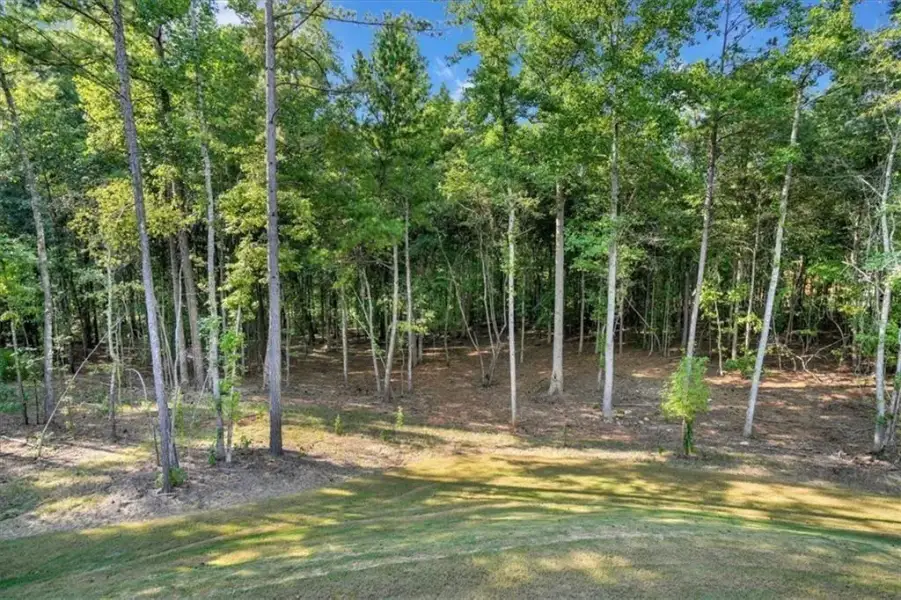 Natural landscape and outdoor views near in Fayetteville (Image 91). Natural landscape and outdoor views near in Fayetteville (Image 91).