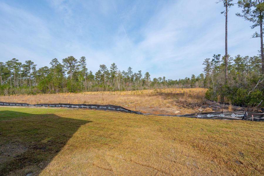 Natural landscape and outdoor views near Cherrywood Estates in Summerville (Image 97). Natural landscape and outdoor views near Cherrywood Estates in Summerville (Image 97).