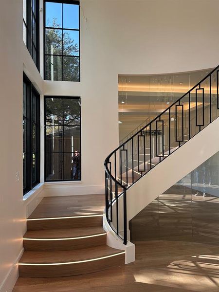 Staircase with wood finished floors, a high ceiling, and plenty of natural light