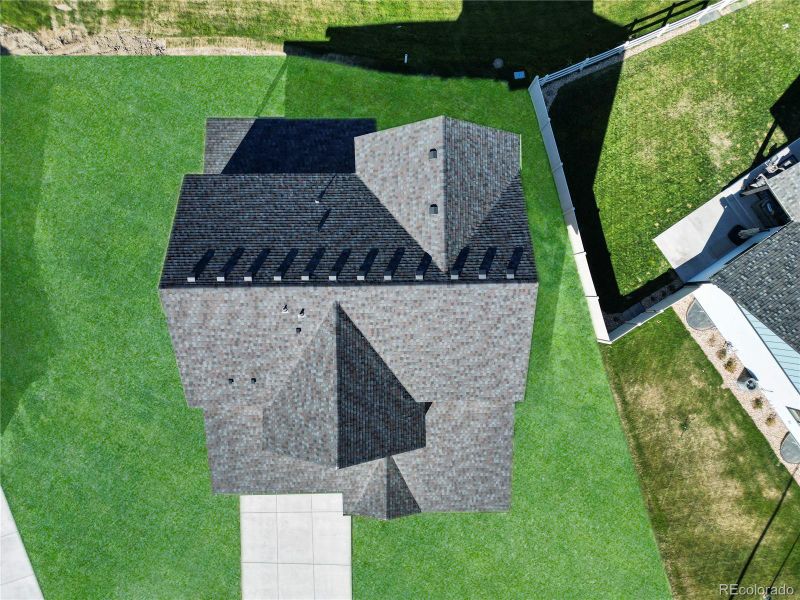 grass is virtually added