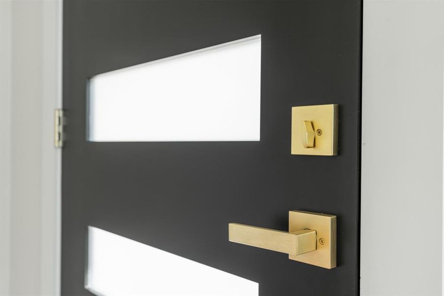 Modern door with sleek finishes Modern door with sleek finishes