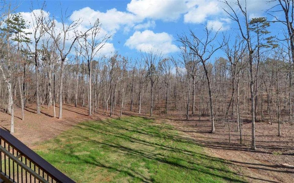 Natural landscape and outdoor views near  in Clarkesville (Image 78).