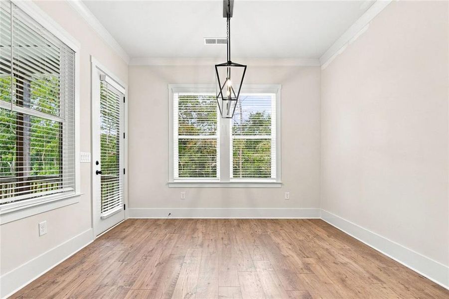 Spacious, unfurnished interior of a new home in , Ellijay (Image 55).
