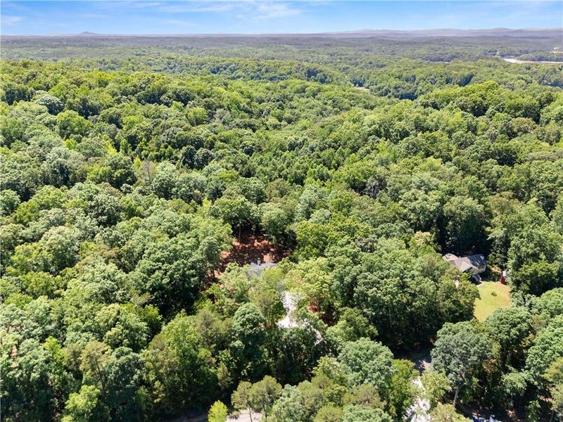 Natural landscape and outdoor views near in Martin (Image 45). Natural landscape and outdoor views near in Martin (Image 45).
