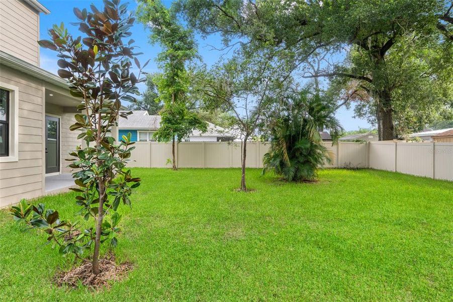 Exterior details and patio area of a home in , Tampa (Image 33).