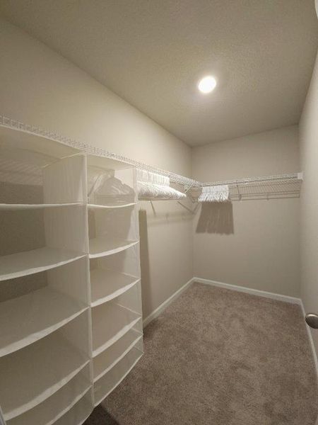 Master Walk in Closet