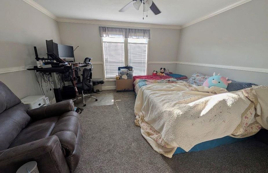 Furnished interior view inside a new home in , Williston (Image 7).