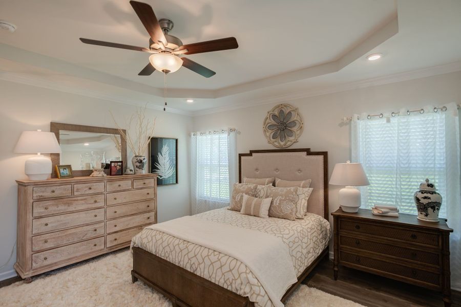 Stock photo of owner's suite featuring trey ceiling and fan.