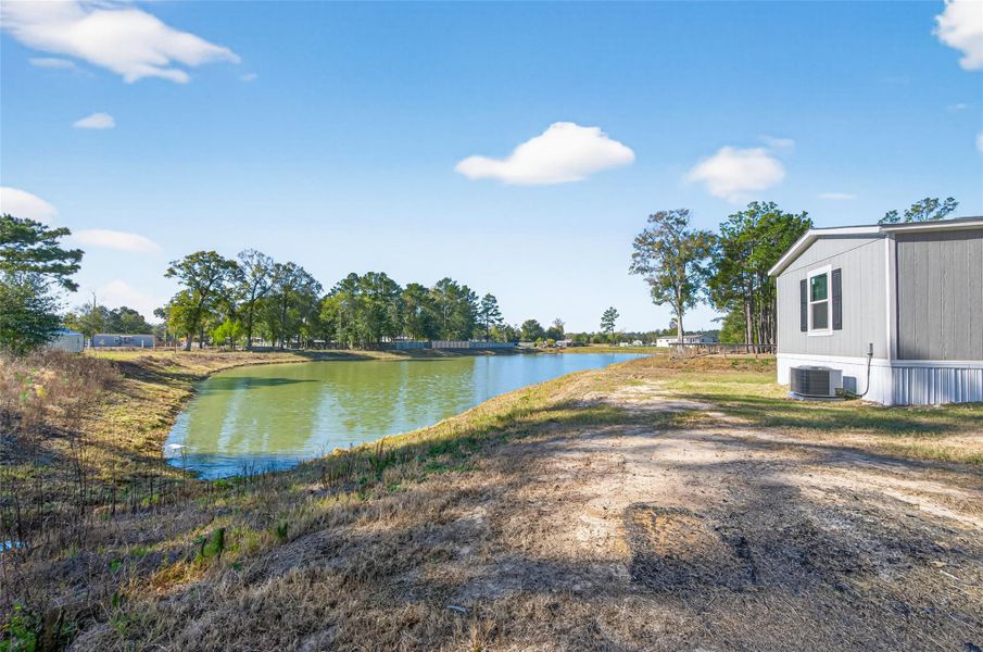 Fish out the backyard Fish out the backyard