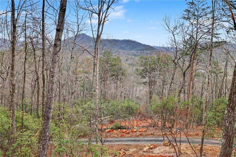 Natural landscape and outdoor views near  in Clayton (Image 64).