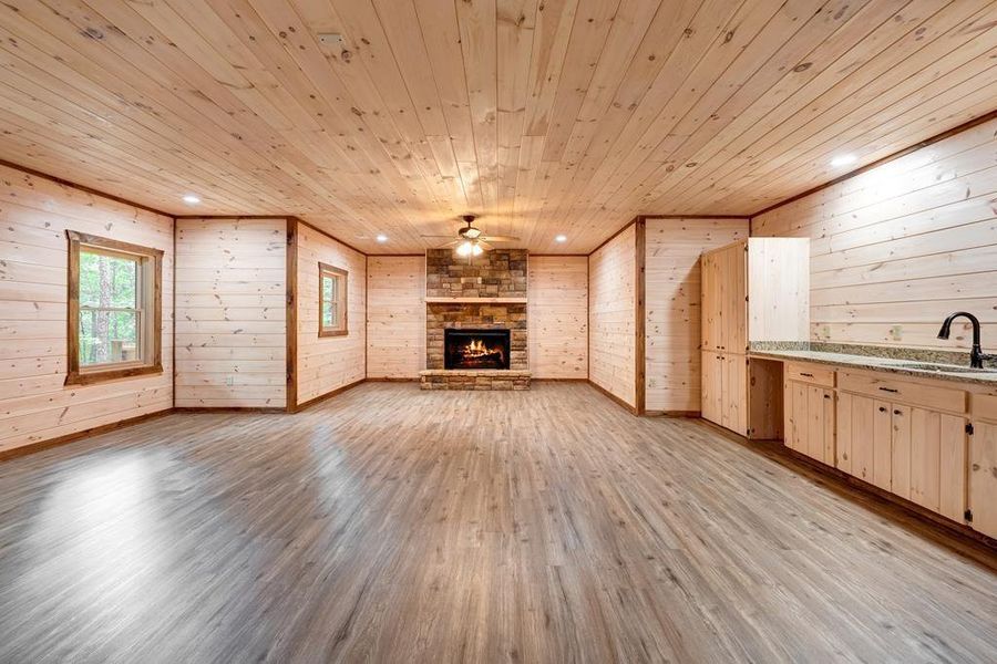 Spacious, unfurnished interior of a new home in , Mineral Bluff (Image 54).