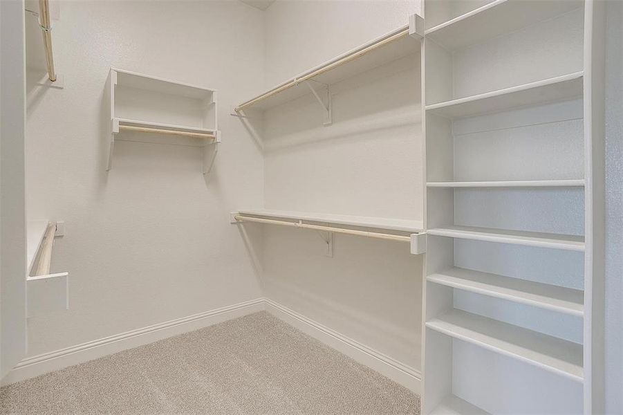 Spacious closet with carpet flooring